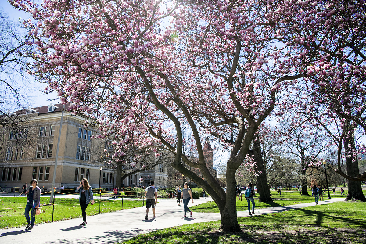 Picture of Ohio State campus in the springtime.