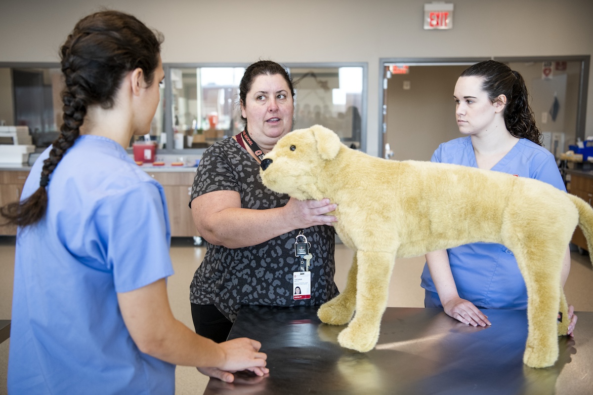 A faculty member and two students examine the a dog mannequin 