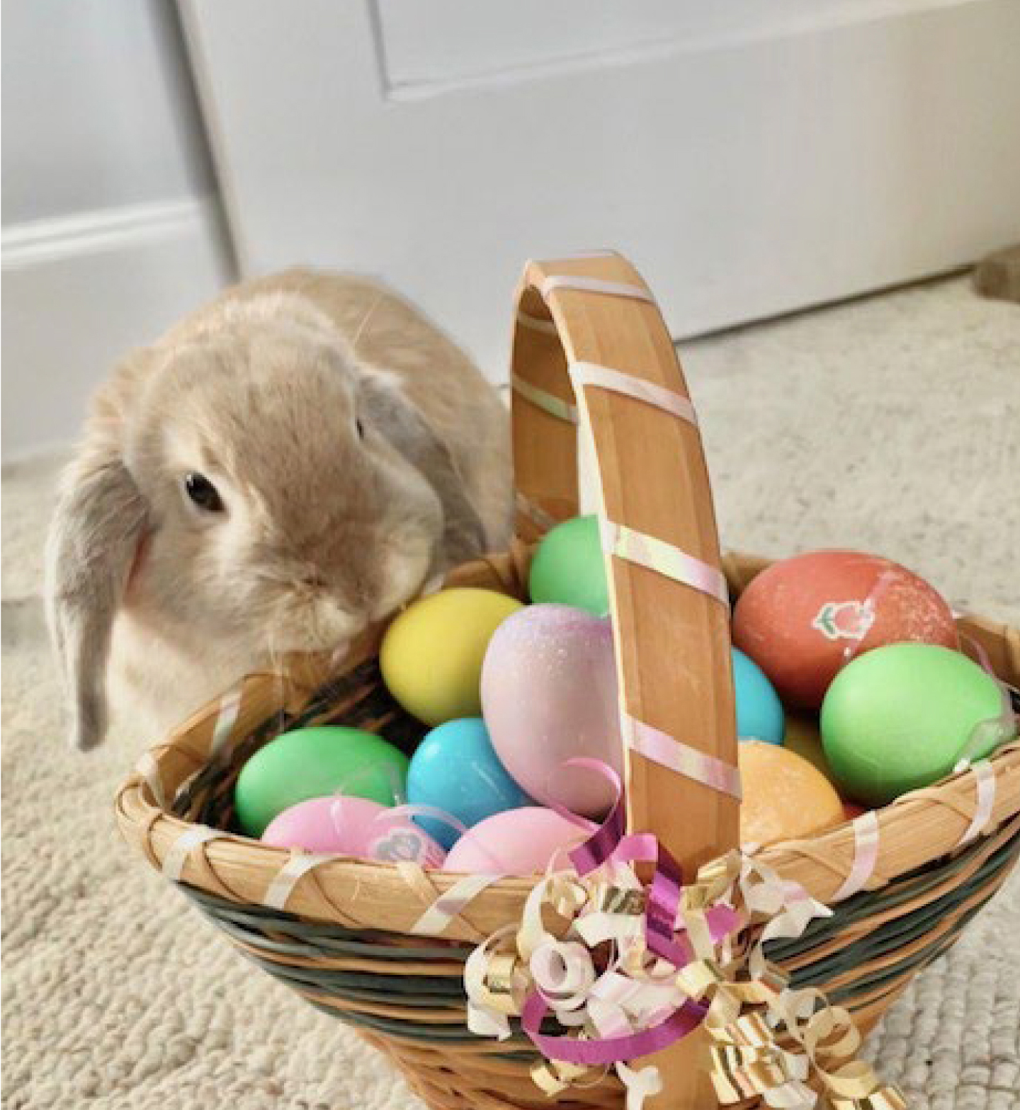 rabbit sitting next to basket of Easter eggs