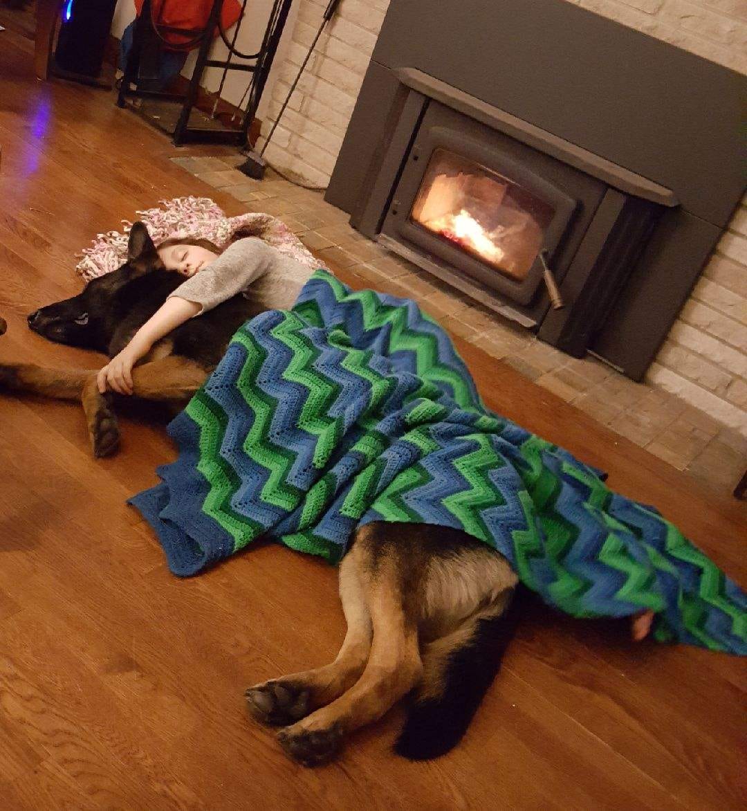 dog lying under a blanket and in front of a fireplace