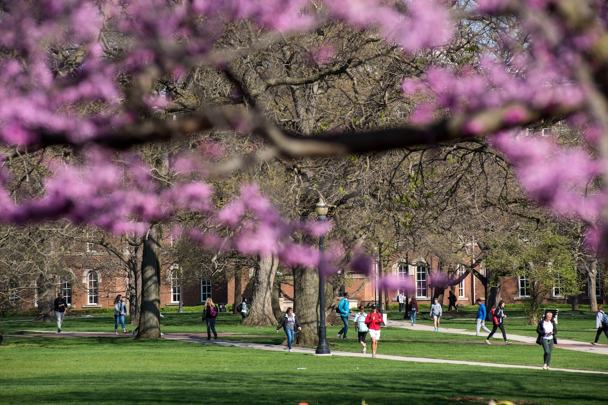 The Ohio State Oval in the spring.