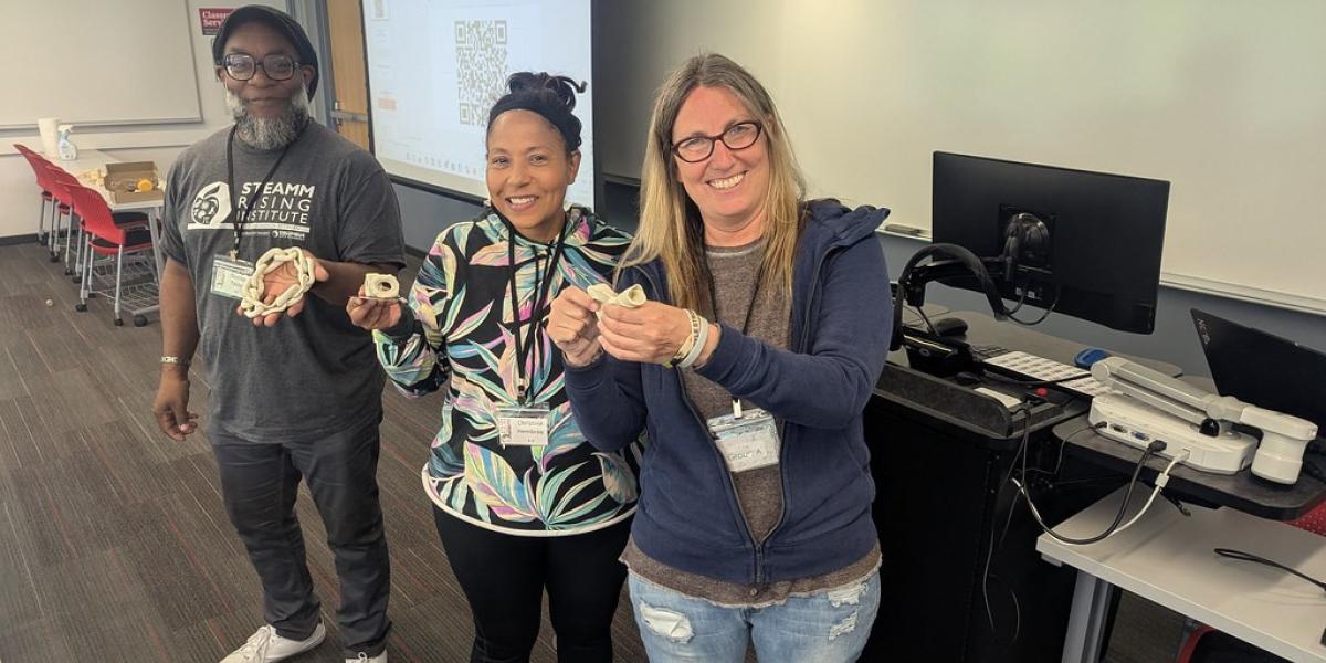teaThree teachers display plasticine samples they created during a modeling exercise.