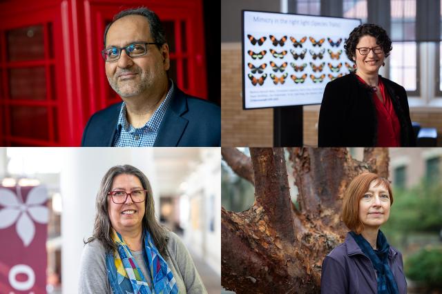 Collage of four professors